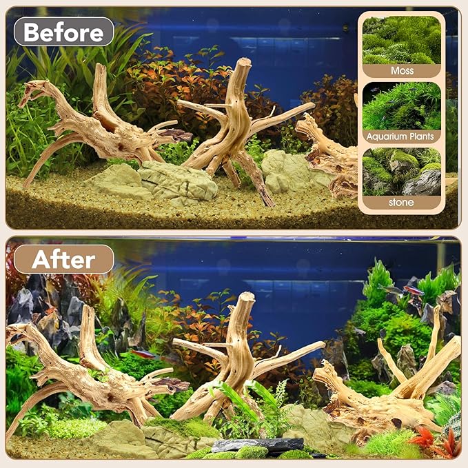 Jorewood Natural Large Spiderwood Driftwood for Aquarium Decor Rptile Fish Tank Decoration Assort Branch 7-11'' 3 Pcs