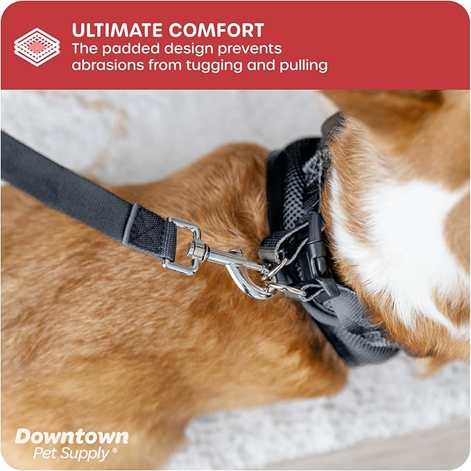 Downtown Pet Supply Step in Dog Harness No Pull, XX-Large, Charcoal - Adjustable Harness with Padded Mesh Fabric and Reflective Trim - Buckle Strap Harness for Dogs