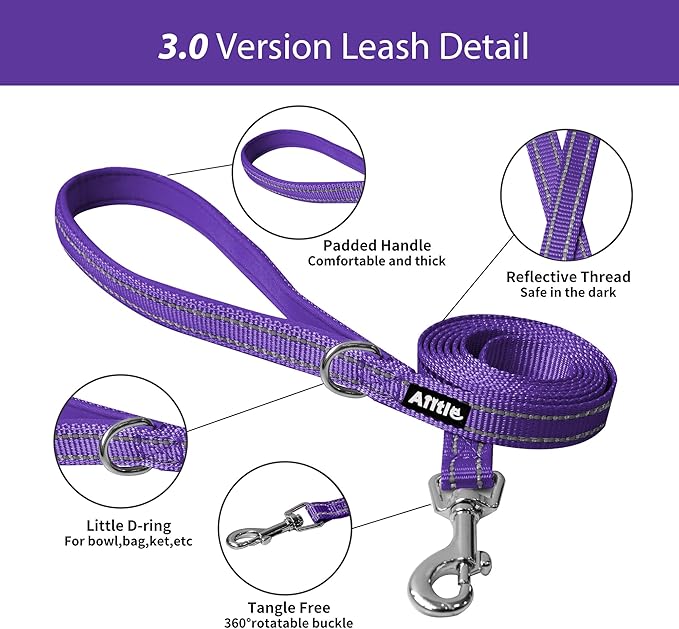 AIITLE No Pull Dog Harness and Leash Set, Step in Adjustable Dog Harness with Padded Vest for All Weather, Dog Leash with Soft Padded Handle, Easy to Put on Small and Medium Dogs Purple S