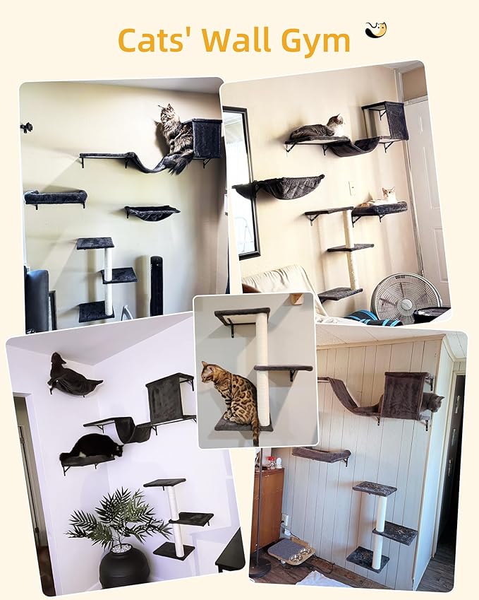 Heavy Duty Cat Wall Shelves for Indoor Cats Large Adult, 17'' Large Hammock and Perch Bed for Wall, 5-in-1 Wall-Mounted Cat Climbing Set for Multi-Room Use
