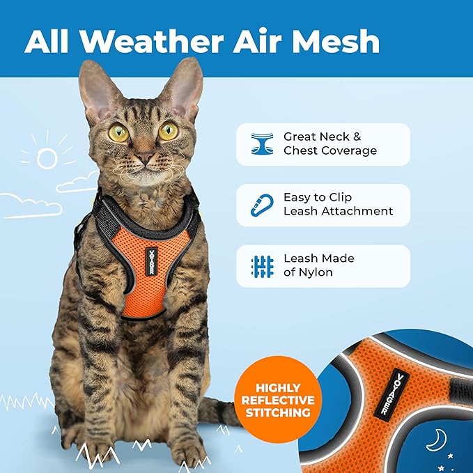 Voyager Escape-Proof Step-in Lock Cat Harness & 5ft Neoprene-Handle Leash Set All-Weather Mesh with Reflective Stitching for Small to Large Cats by Best Pet Supplies, Black Trim-Orange (327), XXXS