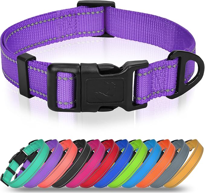 Joytale Small Dog Collar, Reflective and Adjustable Nylon Collar with Quick-Release Buckle, Lightweight No-Choke Design for Small Dogs, Purple, 3/4" Width
