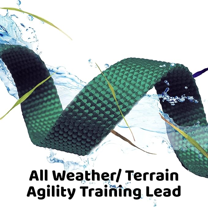 Downtown Pet Supply - Long Dog Training Leash for Recall & Obedience - Nylon, 30 ft, Hunter Green