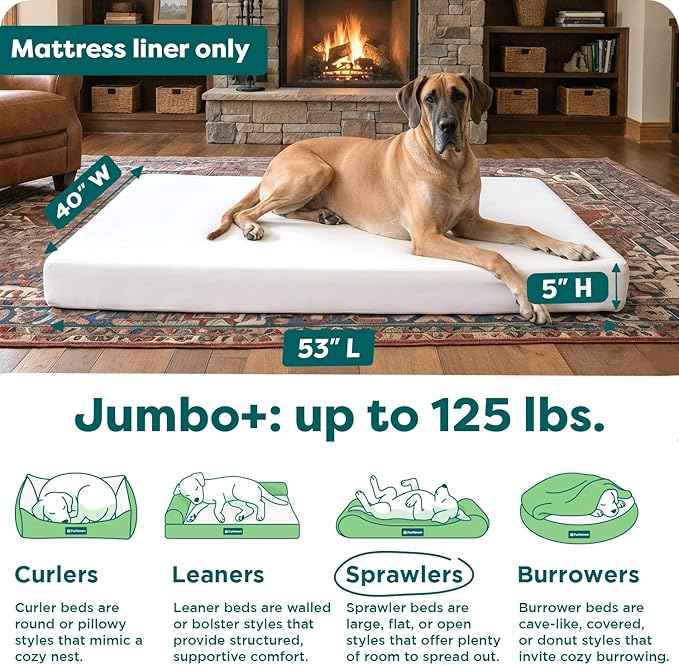 Furhaven Dog Bed Liner Water-Resistant Foam Mattress Protector Cover - White, Jumbo Plus