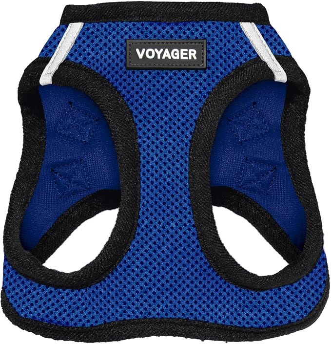 Best Pet Supplies Voyager Step-in Air Harness - All Weather Mesh, Reflective, No Pull Harness for Dogs, Cats - Secure with Hook & Loop Fastener, Buckle, Double D-Rings - Royal Blue/Black Trim, XS
