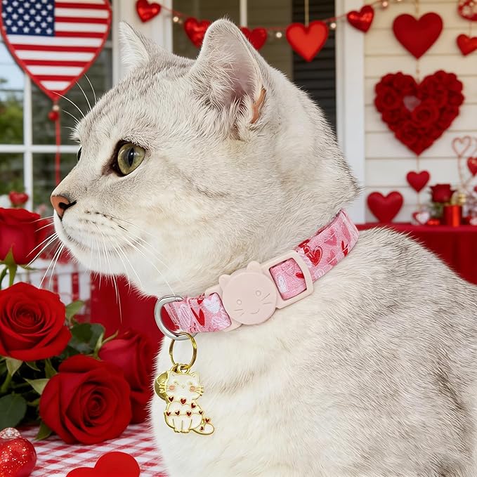 Valentine Cat Collar-2 Pack Collars Red Heart and Line Heart Print Breakaway with Kitten and Bell Pendant Safety Buckle Adjustable Pet Collar for Cats Gift for Cats and Small Pets