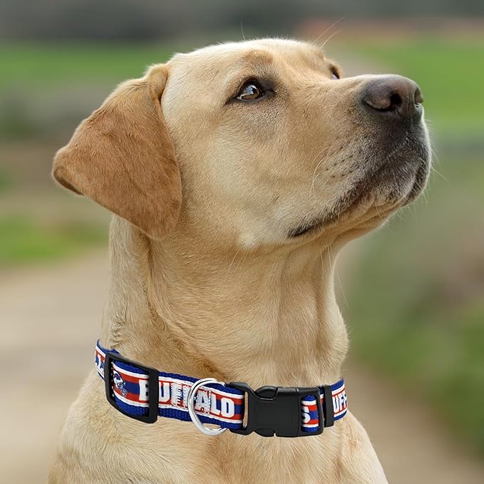 New & Improved Pets First NFL Licensed PET Collar- Heavy-Duty, Strong, and Durable New Dog Collar. Available in 32 Football Teams and 4 Sizes