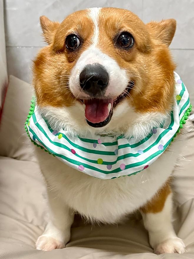 Cat Dog Birthday Bandana Scarf and Party Hat Cute Polka dot and Stripe Bib Scarf and Birthday Hat Cat Puppy Birthday Party Decorations Set