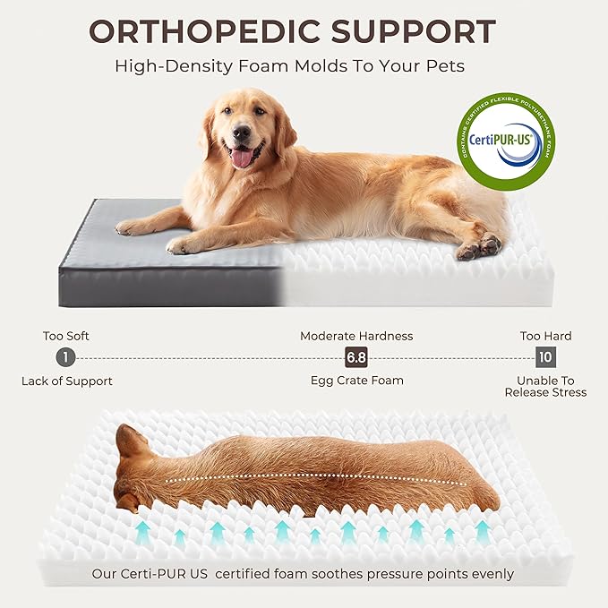 2-Pack XL Waterproof Dog Bed Large Size Dogs, Plush Cushion & Orthopedic Egg-Crate Foam Mattress for Senior Dogs, Washable Dog Crate Bed with Removable Cover, Dark Grey