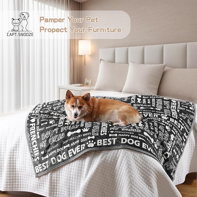 Waterproof Dog Blankets Pet Blanket, 30"x40" Cat Blanket for Indoor Cats, Soft Fluffy Sofa Car Bed Protector, Reversible Sherpa Fleece Puppy Blanket for Small Medium Dogs(Letters)