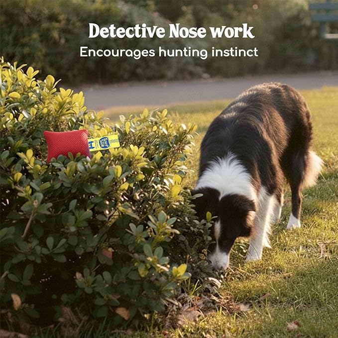 Race&Herd Original Dog Scent Training Kit, Scent Work Training Kit for Dogs - Nosework for Dog Mental Stimulation Agility Training Equipment for Dogs, Brain Games Smell Training Kit for Loss of Smell