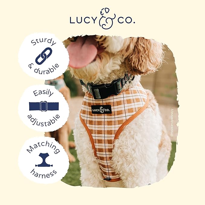 Lucy & Co. Take a Hike Adjustable Dog Collar- Cute Designer Pet Collar for Small, Medium, Large Dogs- Buckle Closure Dog Accessories, Small, Green Trees