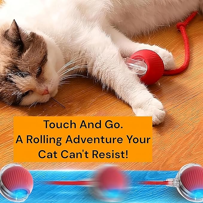 Interactive Electric Automatic Rolling Moving Rechargeable Self Play Stimulation Toy,Smart Pet Chase with Speedy Tail Rope for Bored Indoor Cats (Pink)