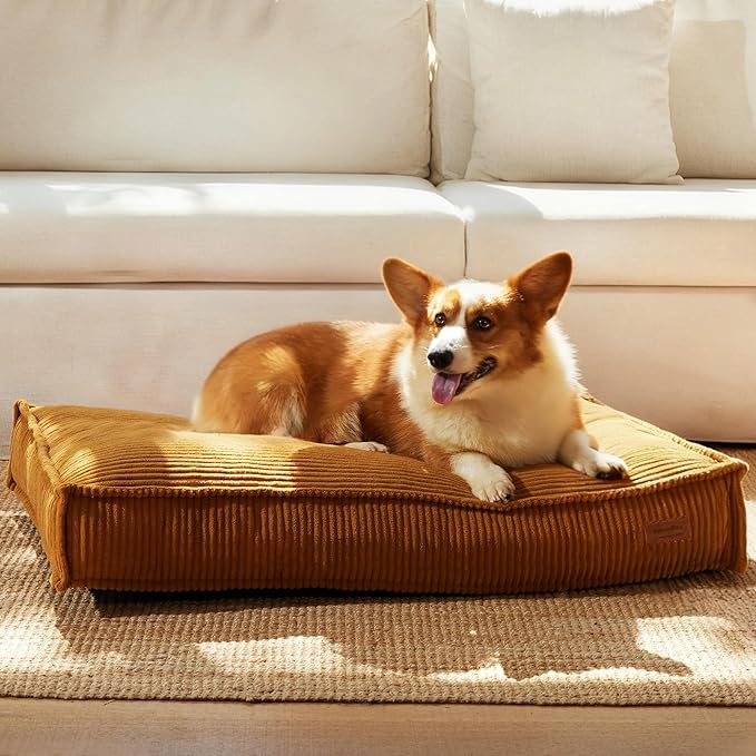 FUKUMARU 5.5-Inch Thick Dog Bed Mat, Washable Cat Bed with Waterproof Lining, Orthopedic Dog Beds for Senior Dogs, Cozy Flat Dog Kennel Bed for Crate, Non-Slip Pet Pillow Bed, Orange