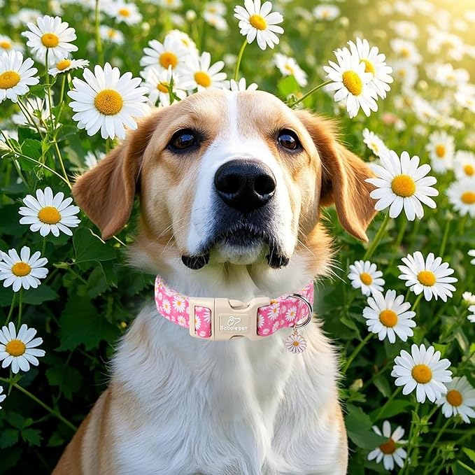 Summer Daisy Dog Collar, Cute Floral Adjustable Pink Dog Collars for Medium Dogs, Lightweight Quick-Release Buckle Collar for Boy&Girl Dogs M