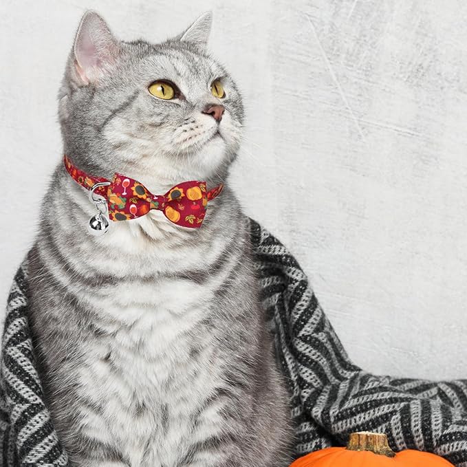 SCENEREAL Thanksgiving Cat Collar Breakaway, 3 Pack Kitten Collars with Bell, Bowtie and Safety Buckle - Adjustable Cute Holiday Cat Collars with Turkey and Pumpkin Pattern for Girl Boy