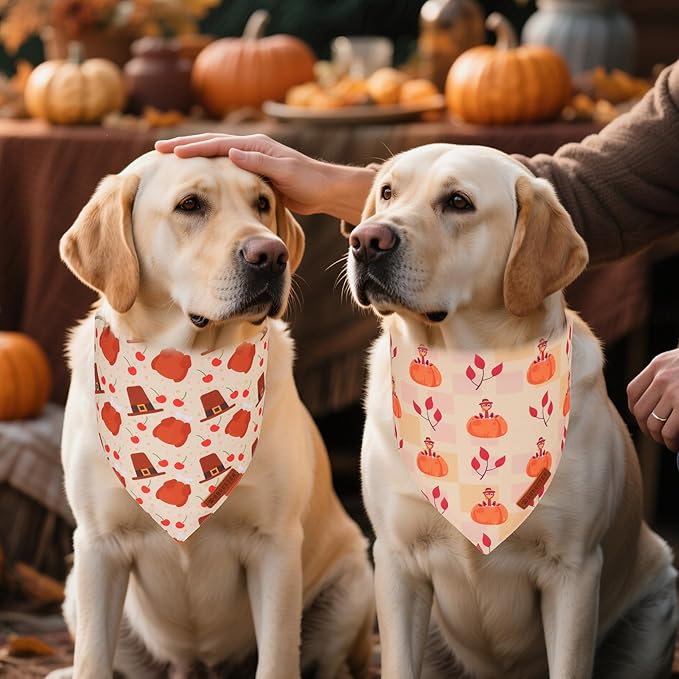 ADOGGYGO Thanksgiving Dog Bandanas 2 Pack, Reversible Turkey Pumpkin Pet Scarf Bib, Adjustable Fit Orange Thanksgiving Bandana for Medium Large Dogs (Large)