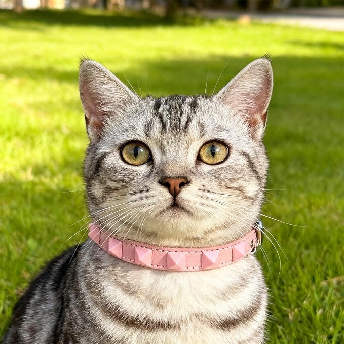 EXPAWLORER Halloween Leather Cat Collar - Adjustable Pet Collar with Rivet Spike for Girl Boy Cats, Punk Accessories with Bell & Durable D-Ring,Pink Square Nails
