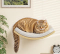 Cat Wall Shelf with Curved Hammock Bed, Wall Mounted Cat Perch with Beige Soft Foam Cushion, Floating Wall Furniture for Climbing, Sleeping & Lounging