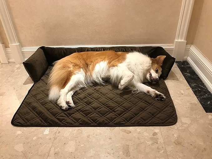 Brilliant Sunshine Premium Calming Dog Bed Mat, Silky Velvet, Removable Washable Cover, Cushion Protector and Couch Covers for Dogs, Pets, Cats, Large, Chocolate