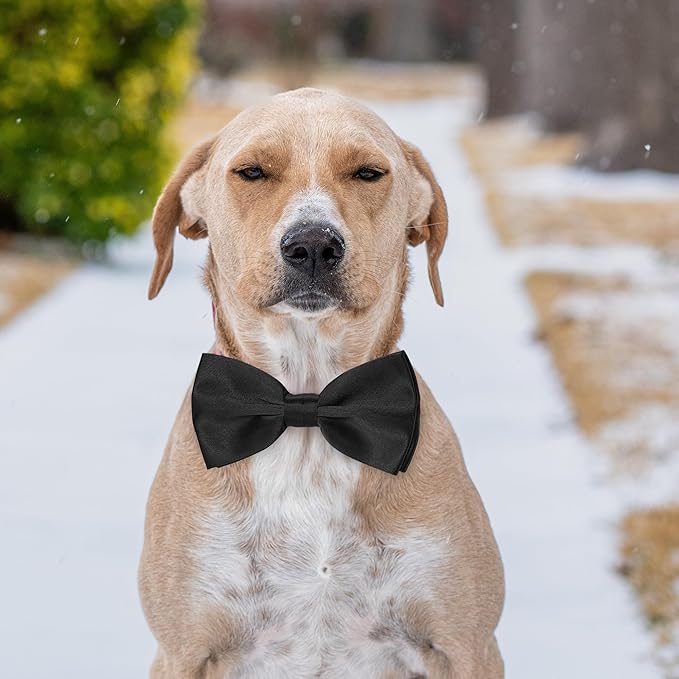 KOOLMOX Light Blue Dog Bow Tie, Black Dog Bowties with Adjustable Collar for Medium Large Dogs Cats Pets Wedding Birthday Graduation Independence Day Homecoming Grooming, 2 Pack, Black and Light Blue