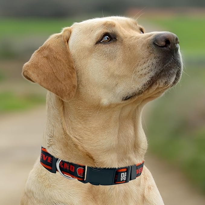 New & Improved Pets First NFL Licensed PET Collar- Heavy-Duty, Strong, and Durable New Dog Collar. Available in 32 Football Teams and 4 Sizes