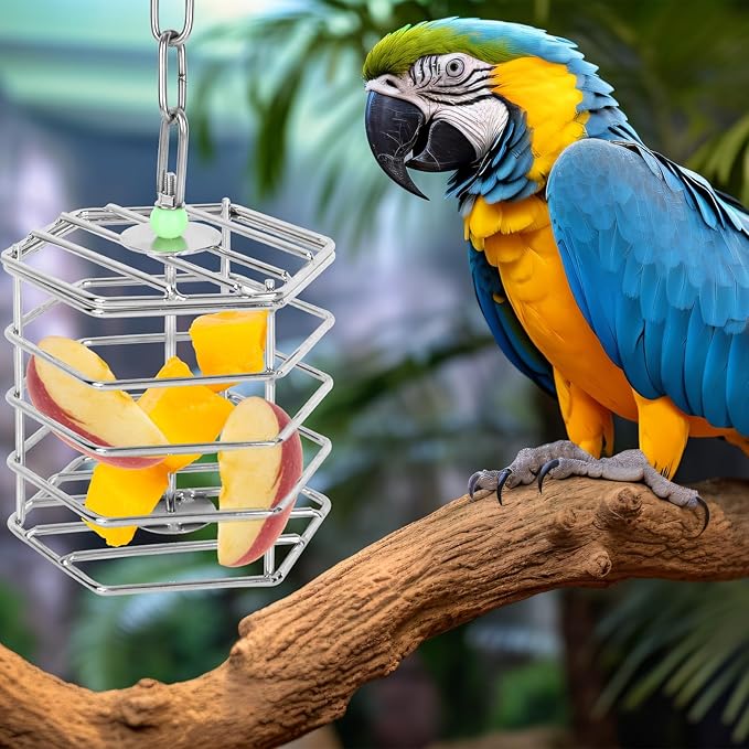 Stainless Steel Bird Suet Feeder Cage with Chain & Bead, Hanging Bird Food Holder Intelligent Feeding Box Millet Treat Holder for Macaw Cockatoo Cockatiel Parrot