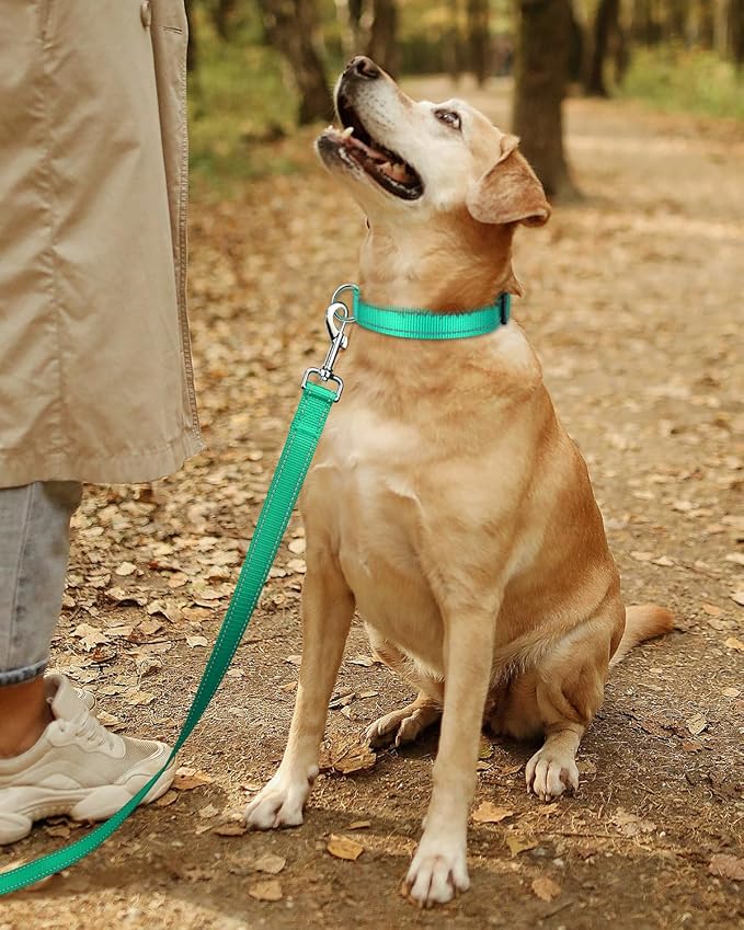 TagME Reflective Nylon Dog Collars, Adjustable Classic Pet Collar with Quick Release Buckle for Extra Large Dogs, Turquoise, 1¼" Width