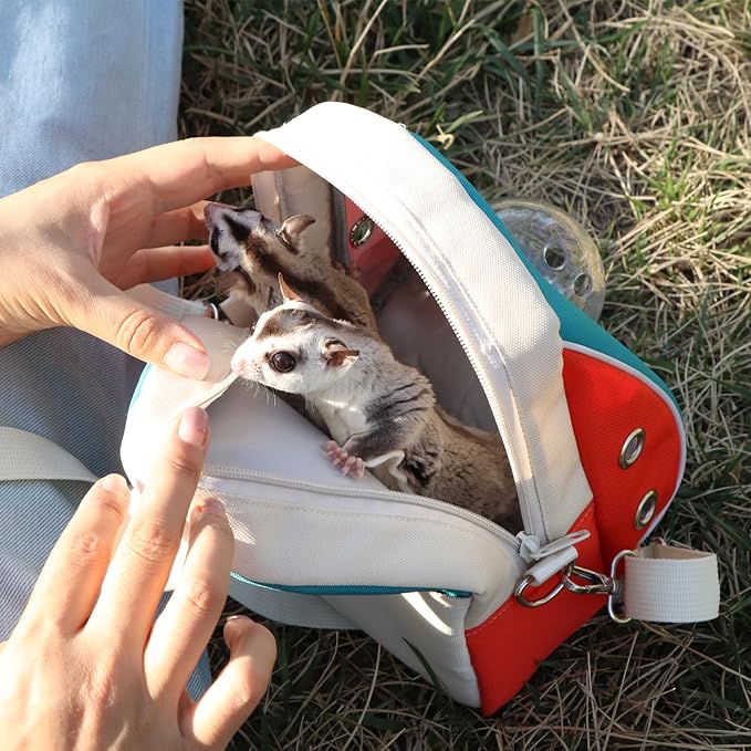 Small pet Carrier with Breathable Design Featuring Shoulder Straps and Panoramic Windows, Suitable for Hamsters, Rats, Squirrel, Sugar Gliders, Birds(Color Blocking)