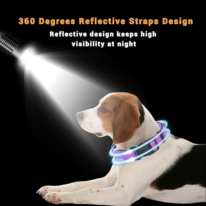 2 Pack Reflective Dog Collar with Safety Locking Buckle, Adjustable Soft Breathable Comfortable Nylon Pet Collar for Small, Medium and Large Dogs, Rosered, S