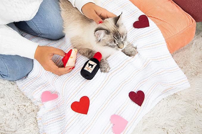 Pearhead Pet Cheese & Wine Cat Toys Set of 2 – Plush Catnip Toys with Crinkle & Rattle, Valentine’s Day Interactive Cat Toys for Indoor Cats