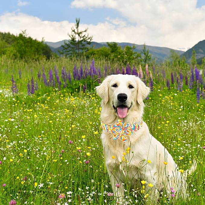 Lionheart glory Dog Collar with Flower, Sunflower Pattern Pet Collar Durable Cute Dog Flower Collars Summer Spring Female Pet Gift Adjustable Dog Collar for Small Dogs