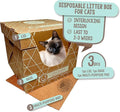 Cats Desire Litter Box - Disposable Litter Boxes for Cats (3 pcs) - Top/Low Entry & Enclosed Box - Teal on Natural Brown, Partially Recycled Cardboard, 17" L x 17" W x 15.25" H