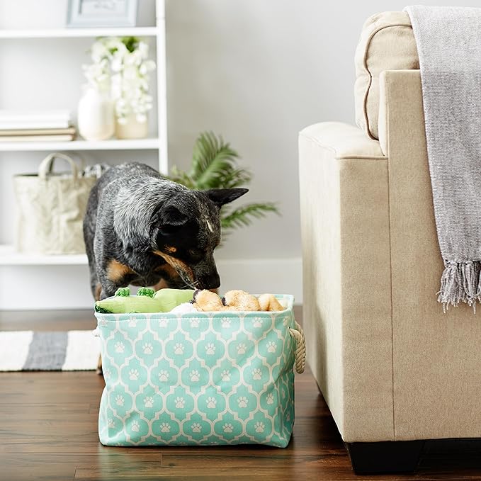 Bone Dry Pet Storage Collection Lattice Paw Print, Aqua, Medium Rectangle