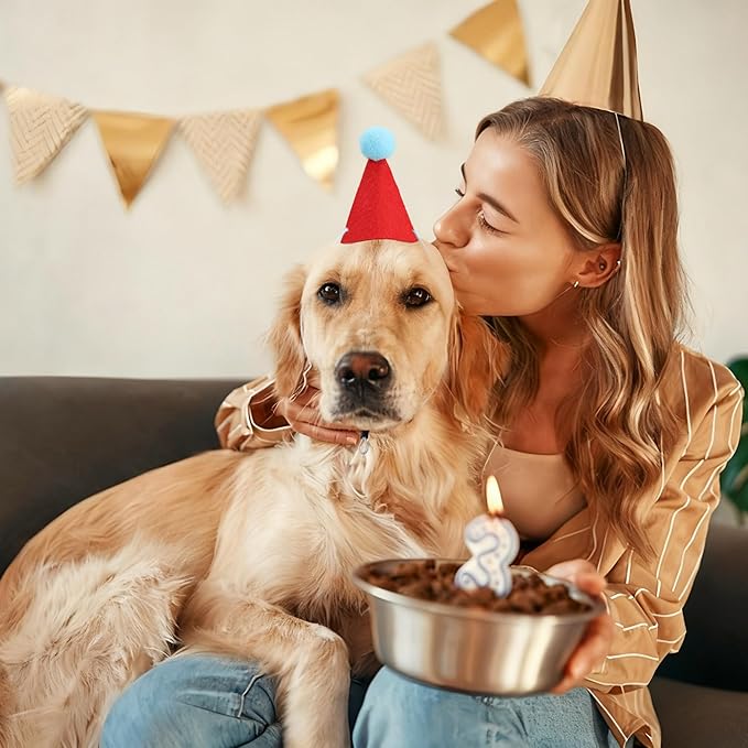 12 PCS Mini Party Hats for Stuffed Animals Birthday Felt Cone Hat with Pompom Adjustable Pets Birthday Party Hats for Assorted Animal Dog Cat Rabbit Puppies Costume Accessories Decor