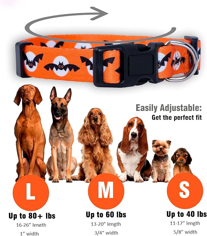 Native Pup Halloween Dog Collar- Spooky Fall Themed Horror Costume Collars- Skull, Pumpkin, Ghost, Bat, Witch, Candy Corn, Spider- Adjustable for Small, Medium, Large Breeds (Small, Bats and Moon)