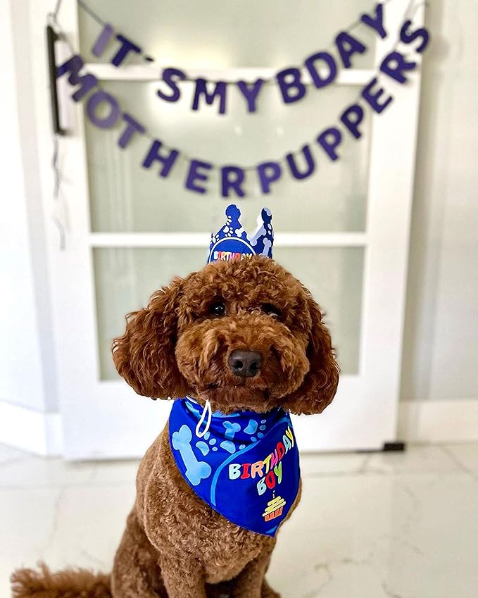 Dog Birthday Party Decorations - Bday Bandana Set - Birthday Boy Bandana for Small Dogs, Puppy, Party Hat, Crown and Cute Dog Birthday Banner with It's My Birthday Mother Puppers Sign
