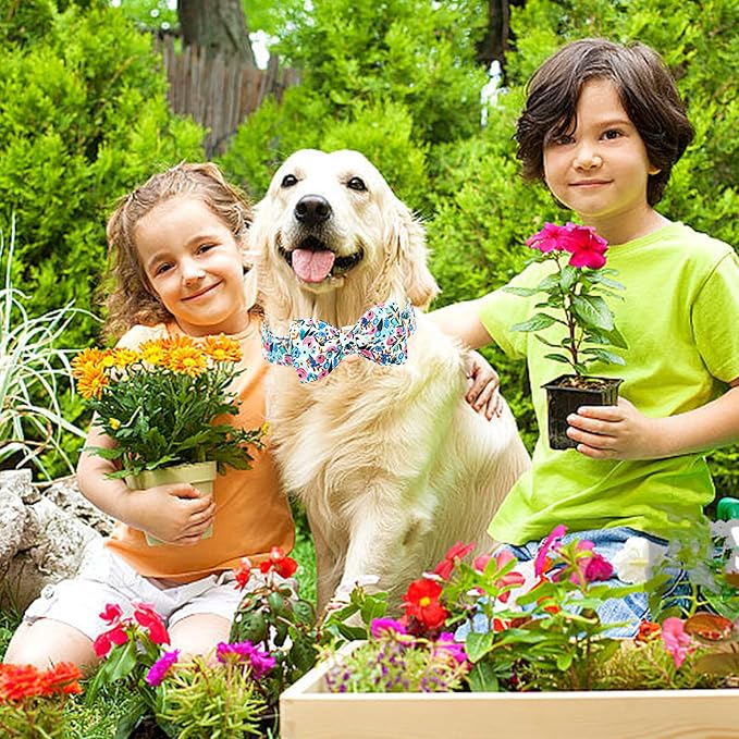Lionheart glory Dog Collar Bow Collar Floral Dog Collar with Bow Tie Spring Summer Cute Collar Dog Boy or Girl Dog Collars Soft Durable Adjustable Dog Collars for Small Dogs