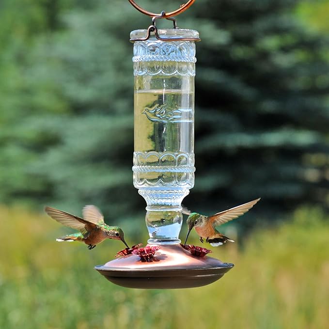Perky-Pet Antique Glass Bottle Hummingbird Feeder - Outdoor Garden Décor Hummingbird Feeder - 8107-1SR - 10 Fl Oz Nectar Capacity - Durable Humming bird Feeder for Backyards, Porches, Decks, Hooks
