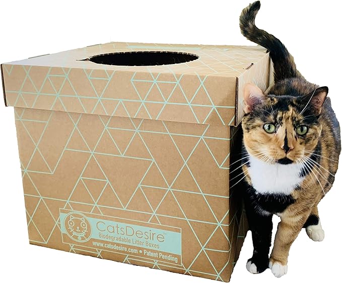 Cats Desire Litter Box - Disposable Litter Box Pack (6 pcs) - Top/Low Entry - Includes 2 lids, 2 Bases and 2 Multipurpose Pads - Partially Recycled Cardboard, 17" L x 17" W x 15.25" H