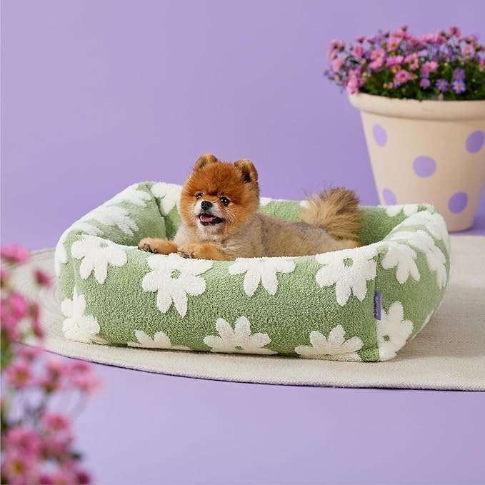 LE SURE Cute Dog Bed for Small Dogs - Washable Puppy Beds,Cozy Rectangle Orthopedic Pet Sofa with Jacquard Shaggy Plush & Anti Slip Bottom,25x21x7inches