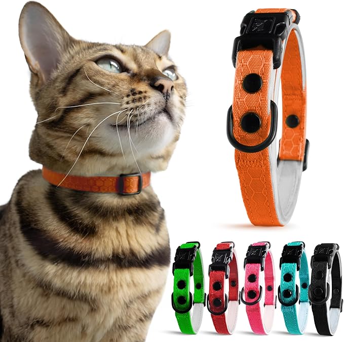 OutdoorBengal Orange Breakaway Kitten Collar - Ultra Safe Quick Release Cat Collar for Kittens Under 6 Months – Soft-Padded, Lightweight, Adjustable, Thin and Comfortable, No Bell (Orange, Kitten)