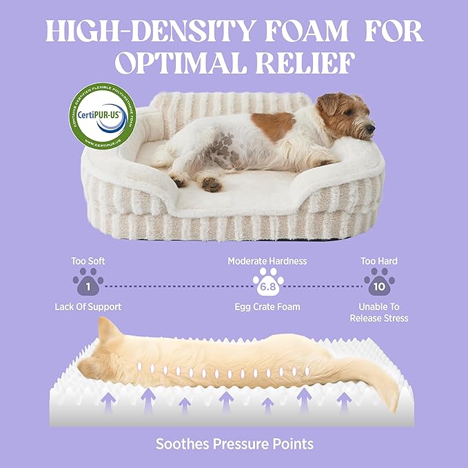 LE SURE Cute Dog Bed Medium Size Dog, Orthopedic Waterproof Medium Pet Beds with Sides, High Back Non-Slip Bottom and Egg-Crate Foam Pet Couch Sofa with Washable Removable Cover, Beige
