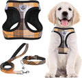 PUPTECK Adjustable Dog Harness Collar and Leash Set Step in No Pull Pet Harness for Small Medium Dogs Puppy and Cats Outdoor Walking Running, Soft Mesh Padded Reflective Vest Harnesses, Orange XXS