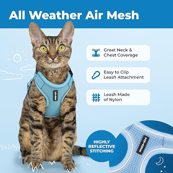 Voyager Escape-Proof Step-in Lock Cat Harness & 5ft Neoprene-Handle Leash Set All-Weather Mesh with Reflective Stitching for Small to Large Cats by Best Pet Supplies, Baby Blue (327), S
