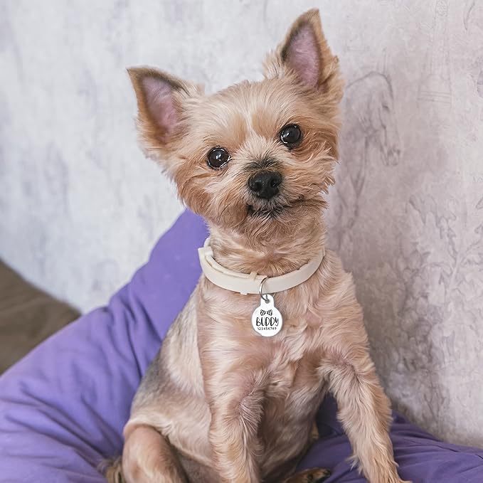 Engraved Pet ID Tags for Cats, Dogs - 4 Color & 5 Shape Options, Personalized w/ 20 Icons, Name, Address, Phone Number - Accessories for Four Legged Friends, Stainless Steel #Rectangular - Silver