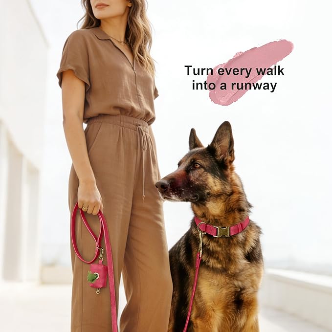 Didog Soft PU Leather Dog Collar, Stylish Quick Released Dog Collars for Large Dogs, Easy Clean Adjustable Pet Collar for Daily Walking, Red, XL Fit 17-27" Neck