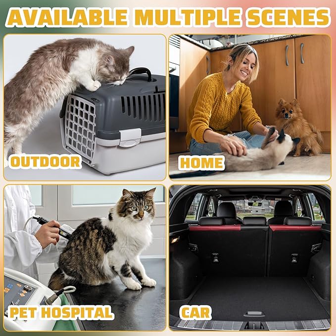 Zubebe 50 Pack Disposable Cat Litter Box for Cats, Large Disposable Kitty Litter Tray Boxes 19.69 x 15.75 x 3.94 Inches Plastic Pets Pan Standard for Indoor Home Travel Portable(Clear)