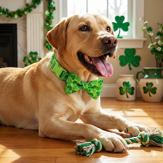 St. Patrick Day Dog Collar Adjustable Puppy Collar with Clover Pattern, Cute Pet Accessories for Small Medium Large Dogs
