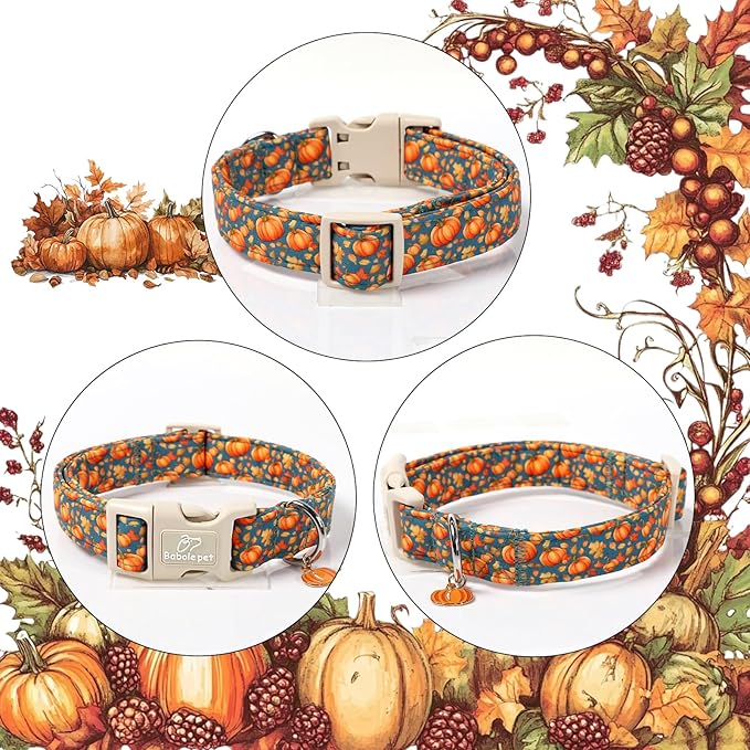 Fall Dog Collar Cute Autumn Pumpkin Puppy Collar - Light Comfortable Adjustable Pet Collars for Small Medium Large Girl Boy Dogs M